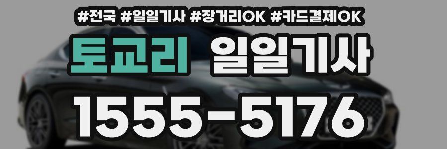 토교리 일일기사