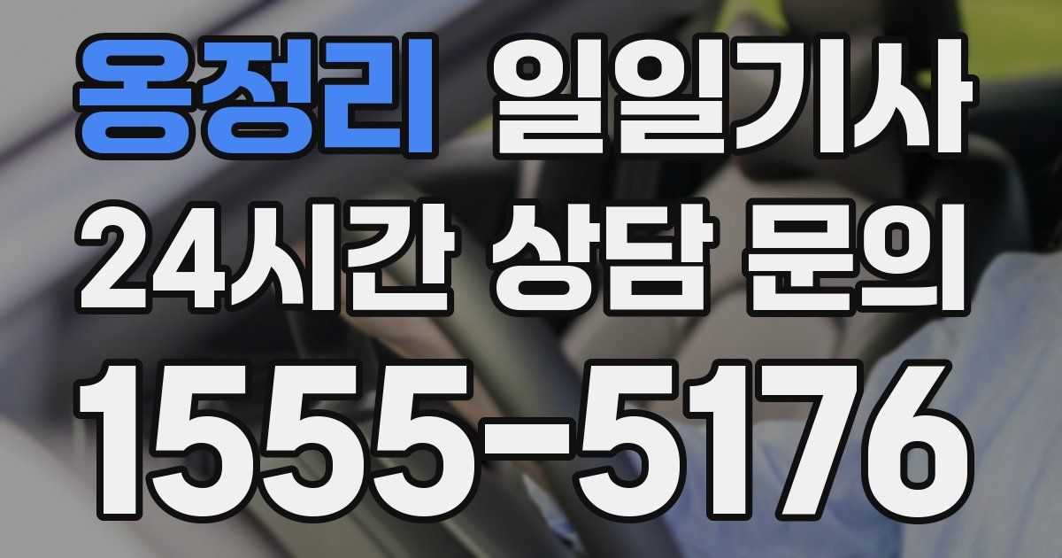 일일대리기사