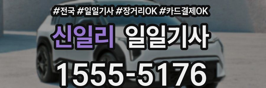 신일리 일일기사