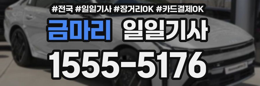 금마리 일일기사