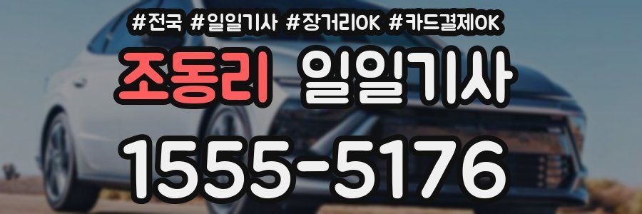 조동리 일일기사