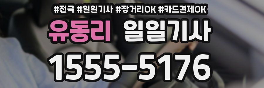 유동리 일일기사