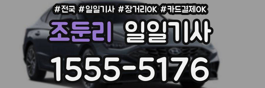 조둔리 일일기사