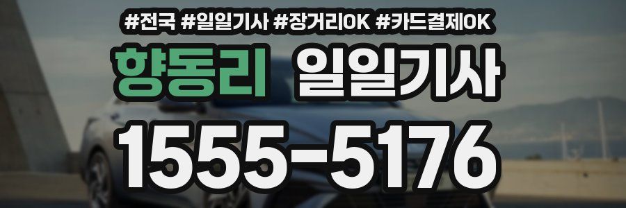 향동리 일일기사