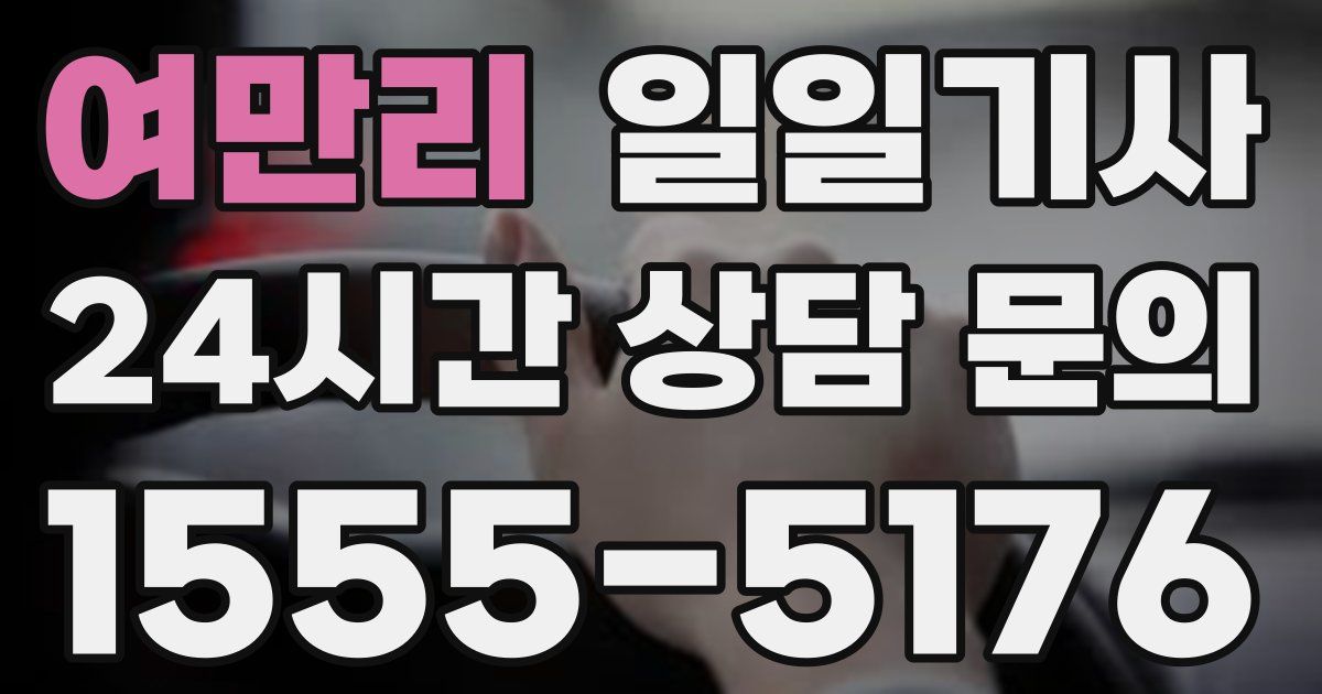 일일대리기사