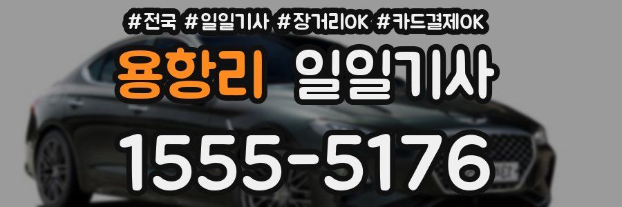 용항리 일일기사