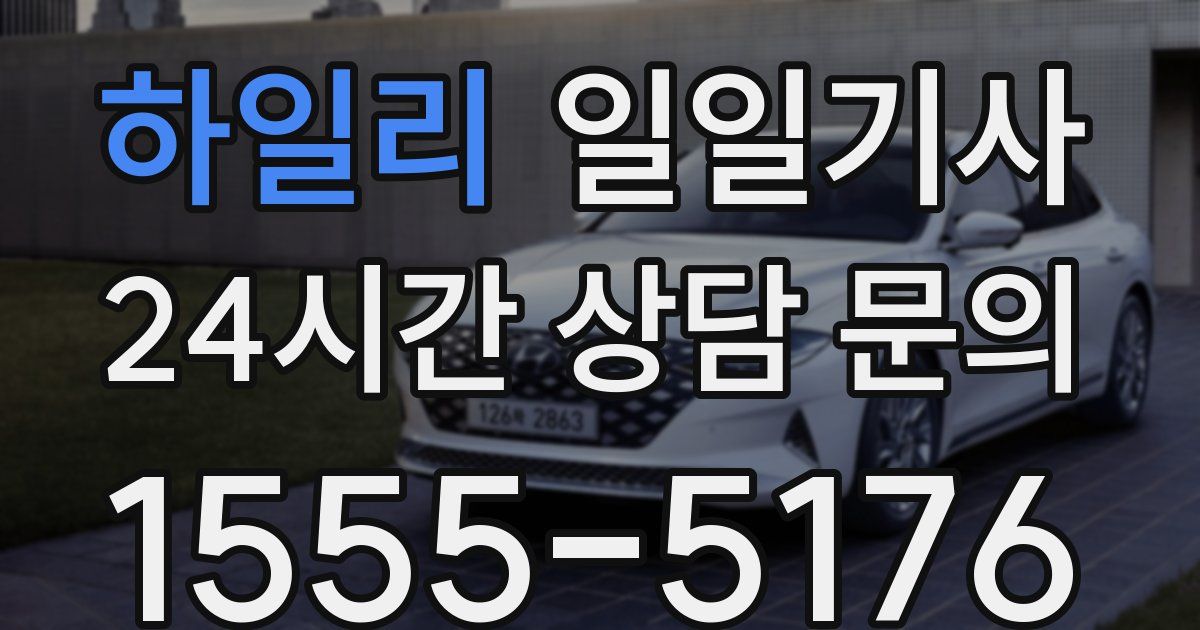 일일대리기사