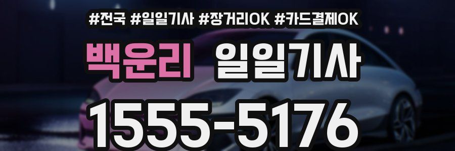 백운리 일일기사