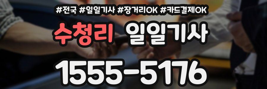 수청리 일일기사