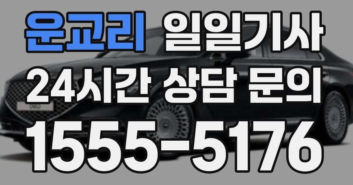 일일대리기사