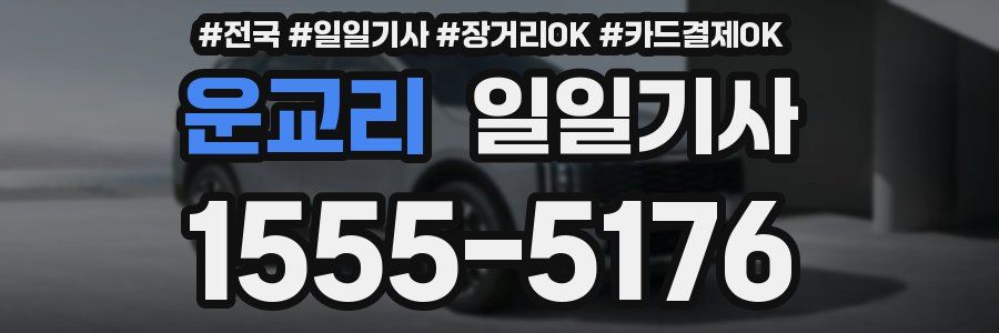 운교리 일일기사