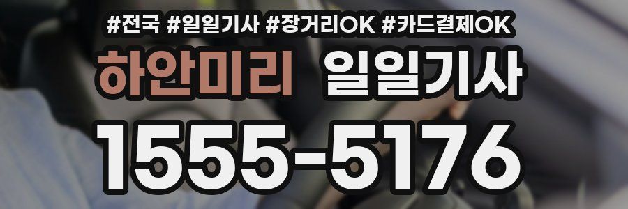 하안미리 일일기사