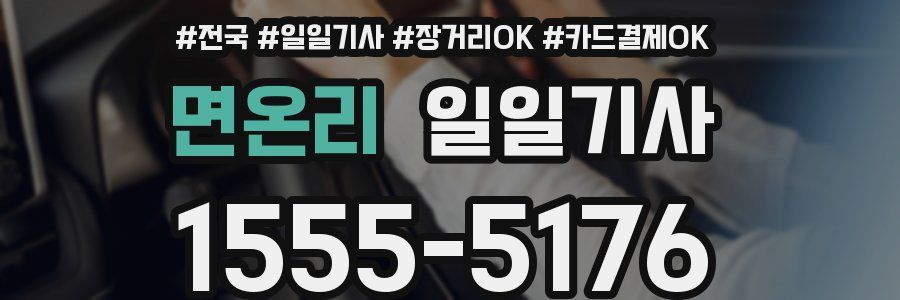 면온리 일일기사
