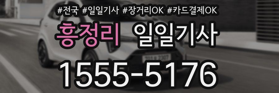 흥정리 일일기사