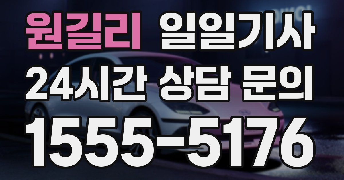일일대리기사