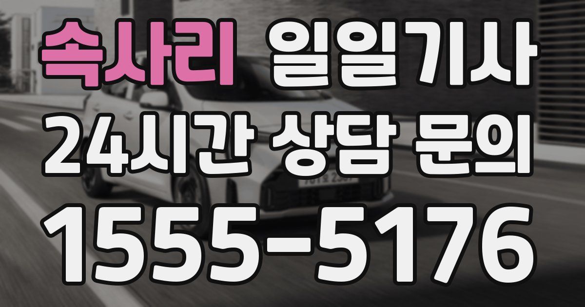 일일대리기사