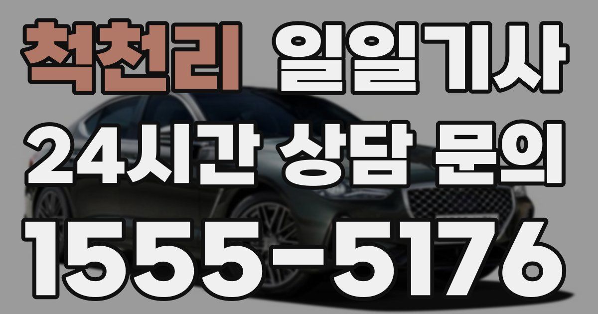 일일대리기사