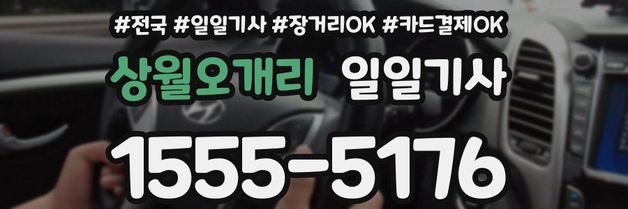 상월오개리 일일기사