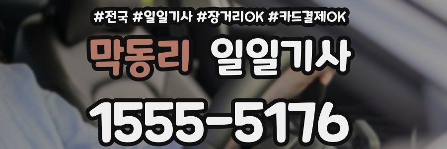 막동리 일일기사