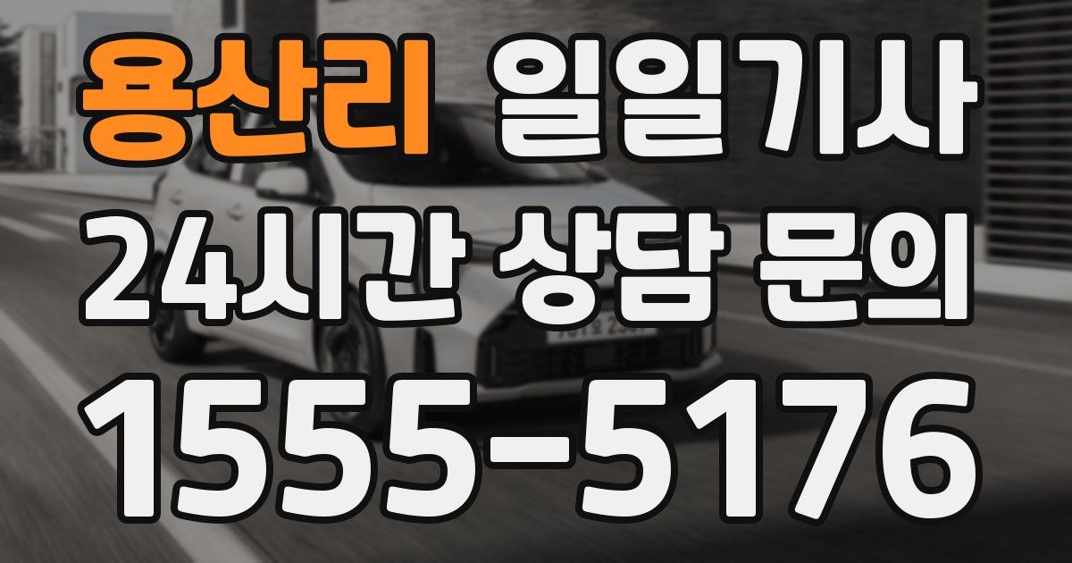 일일대리기사
