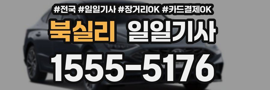 북실리 일일기사