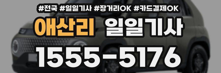 애산리 일일기사