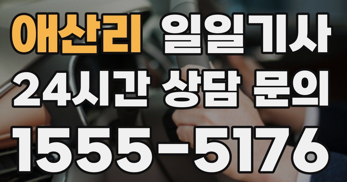 일일대리기사