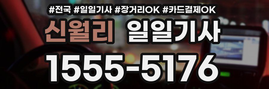 신월리 일일기사