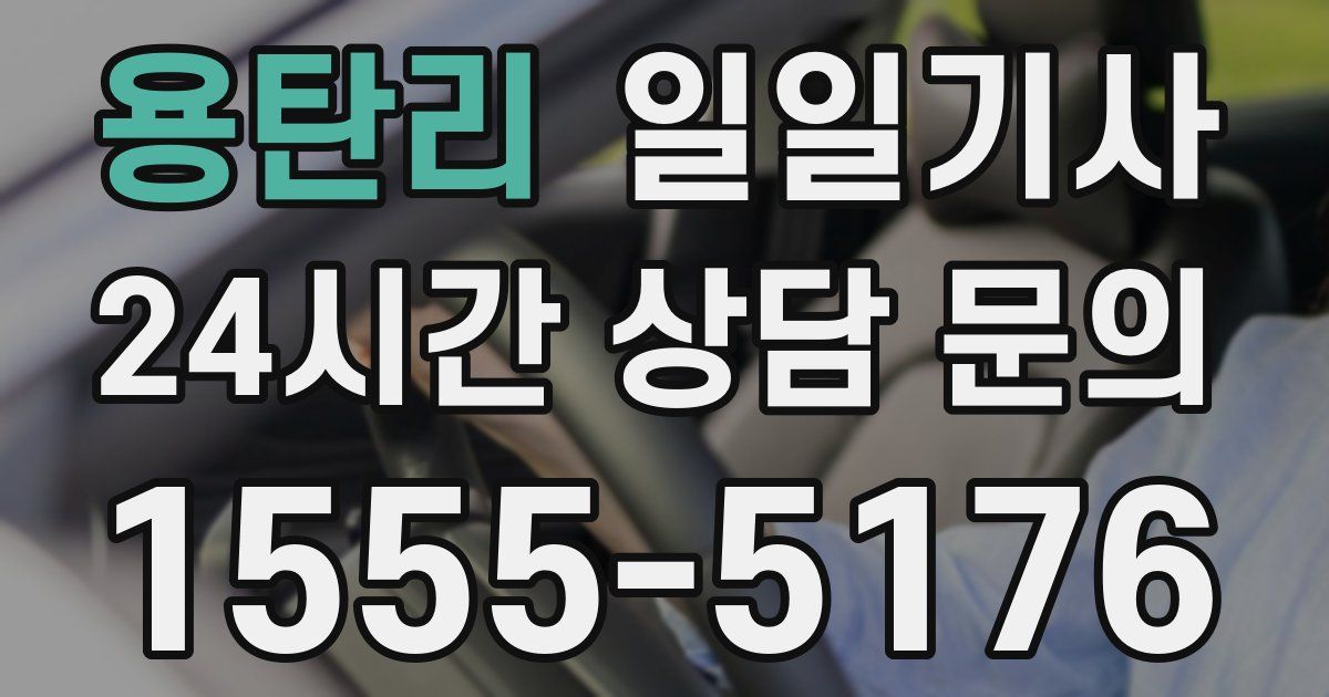 일일대리기사