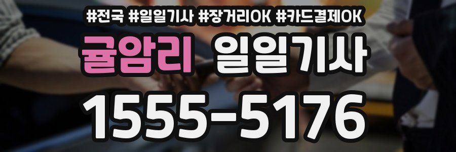 귤암리 일일기사