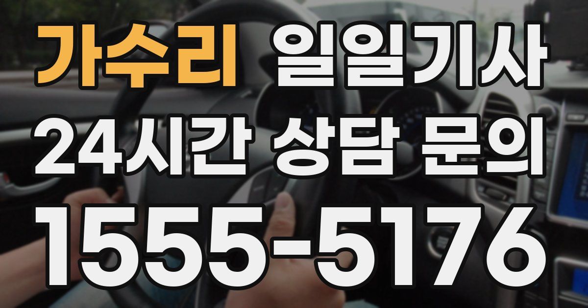 일일대리기사