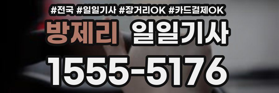 방제리 일일기사