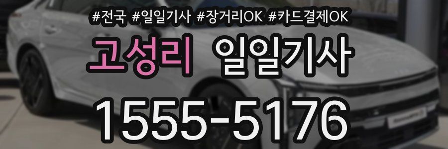 고성리 일일기사