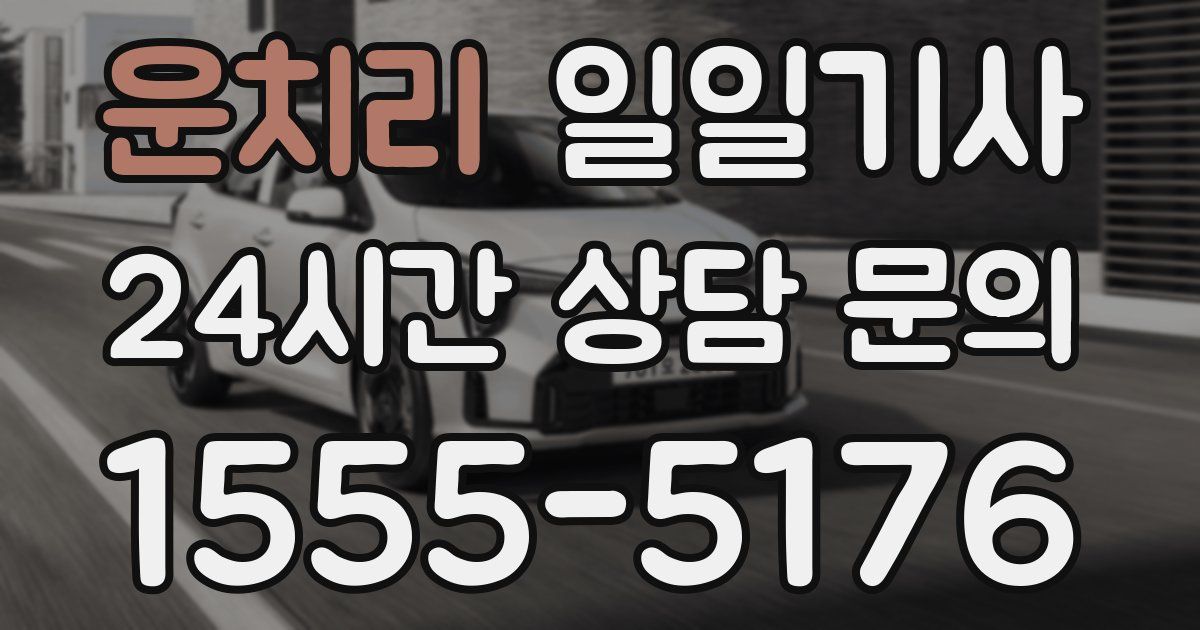 일일대리기사