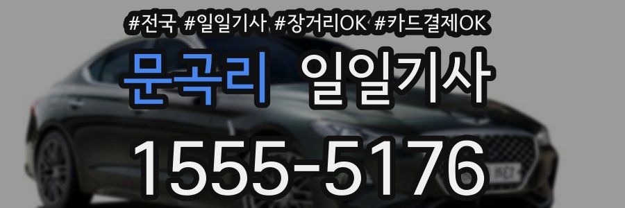 문곡리 일일기사