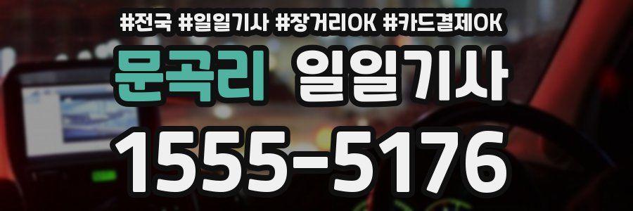 문곡리 일일기사