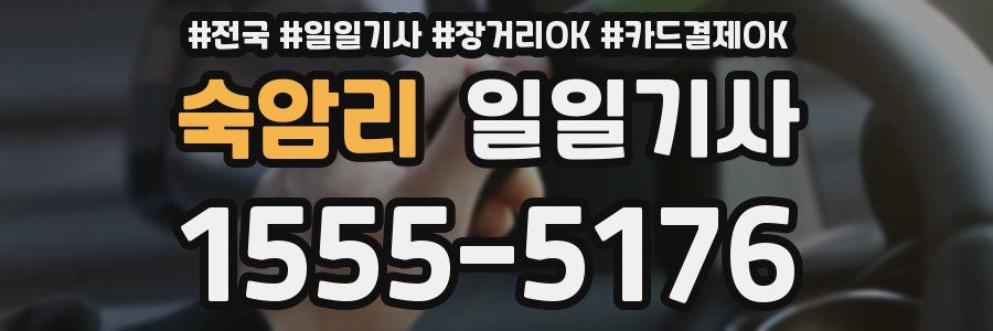 숙암리 일일기사