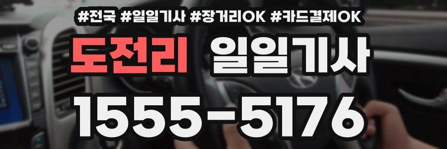 도전리 일일기사