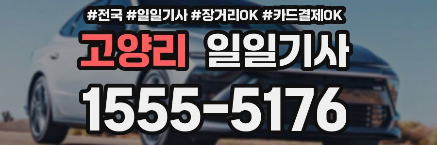 고양리 일일기사