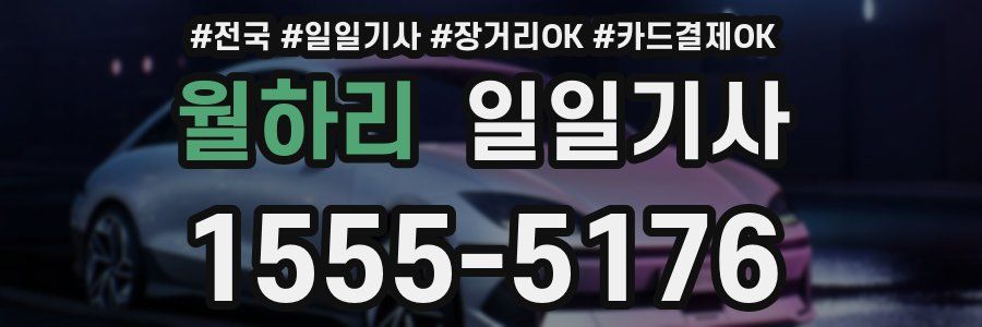 월하리 일일기사