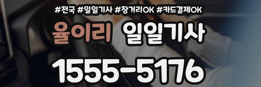 율이리 일일기사