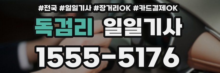 독검리 일일기사