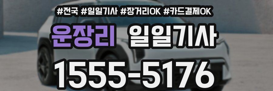 운장리 일일기사