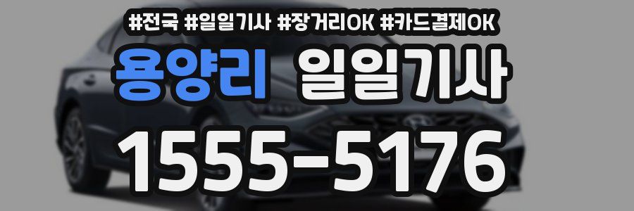 용양리 일일기사