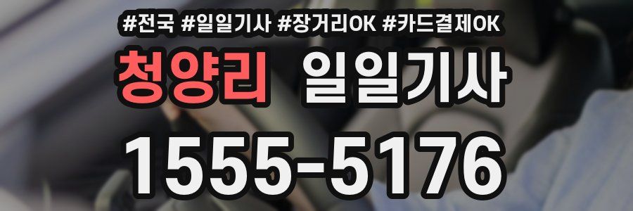 청양리 일일기사