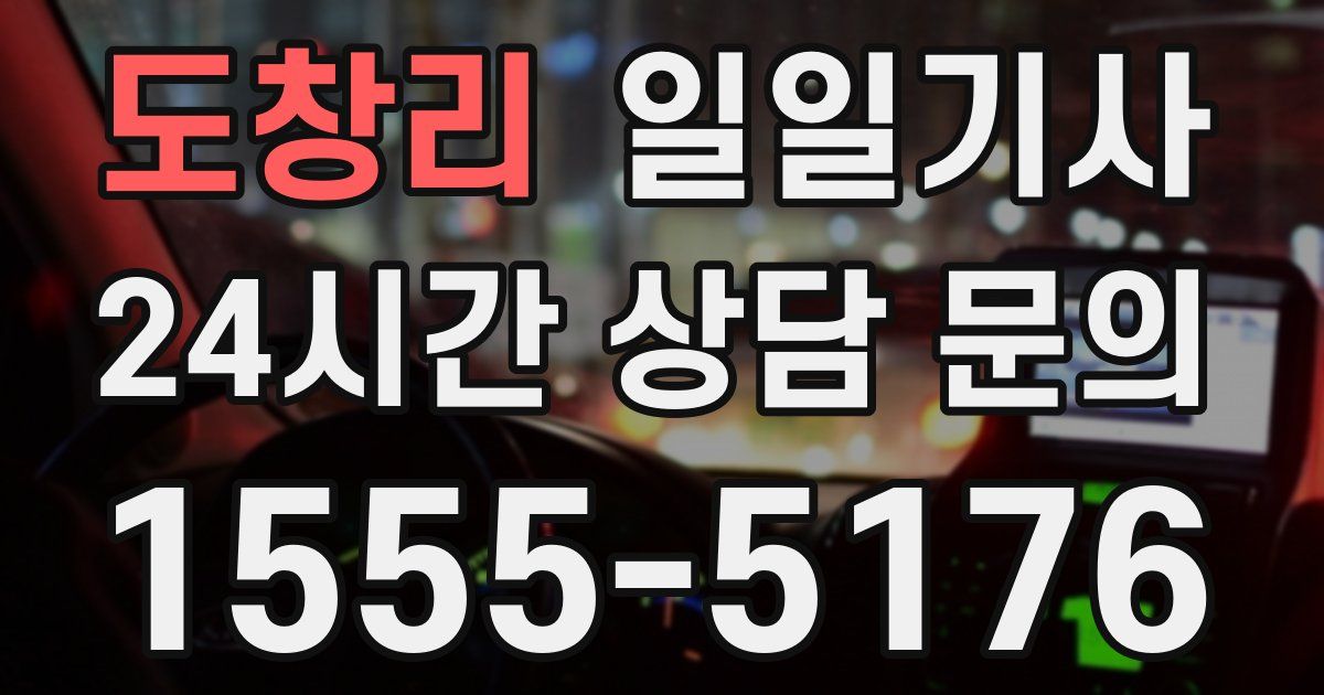 일일대리기사