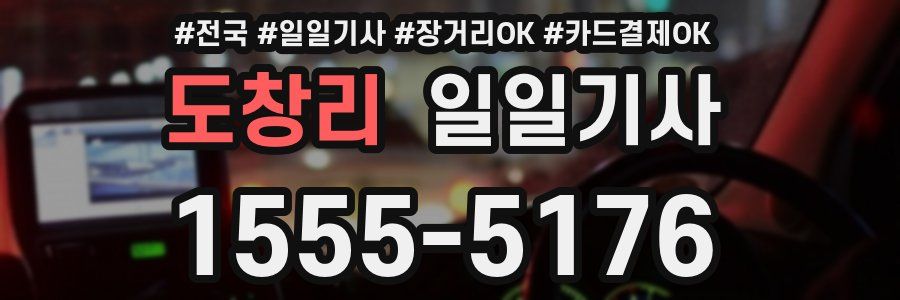 도창리 일일기사