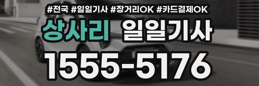 상사리 일일기사