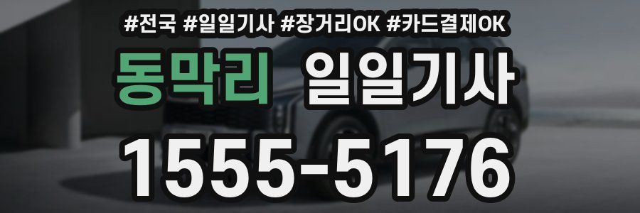 동막리 일일기사