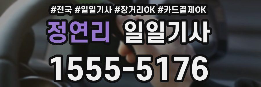 정연리 일일기사